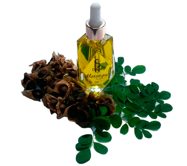 Moringa-Öl (50ml)